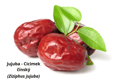 Jujuba